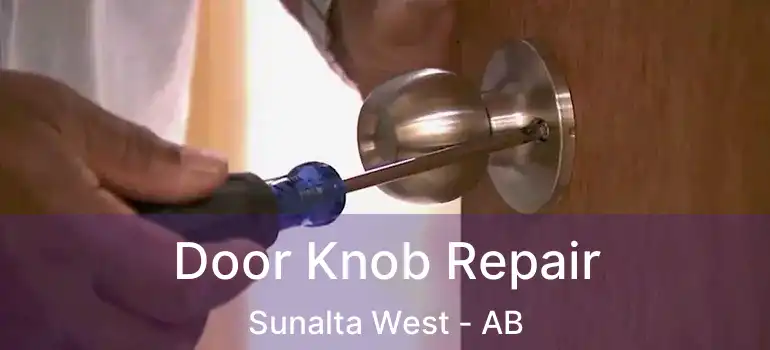  Door Knob Repair Sunalta West - AB