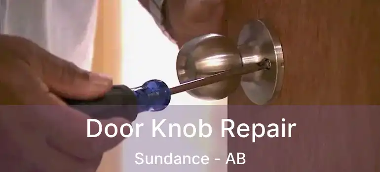  Door Knob Repair Sundance - AB