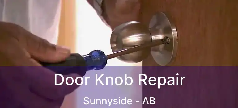  Door Knob Repair Sunnyside - AB