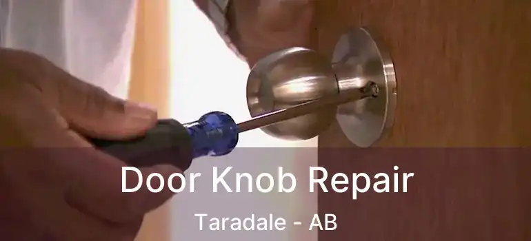  Door Knob Repair Taradale - AB