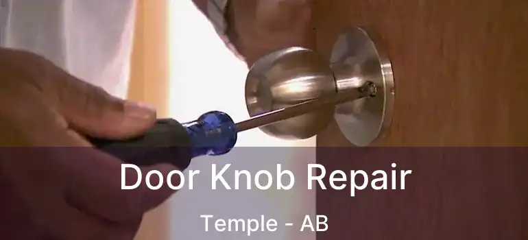  Door Knob Repair Temple - AB