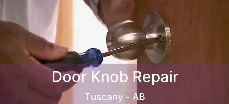  Door Knob Repair Tuscany - AB