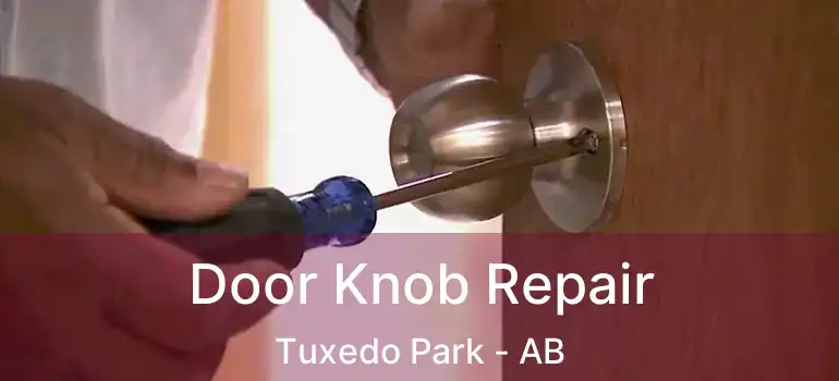  Door Knob Repair Tuxedo Park - AB