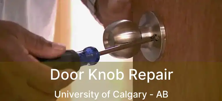  Door Knob Repair University of Calgary - AB