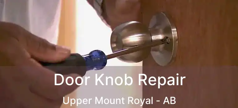  Door Knob Repair Upper Mount Royal - AB