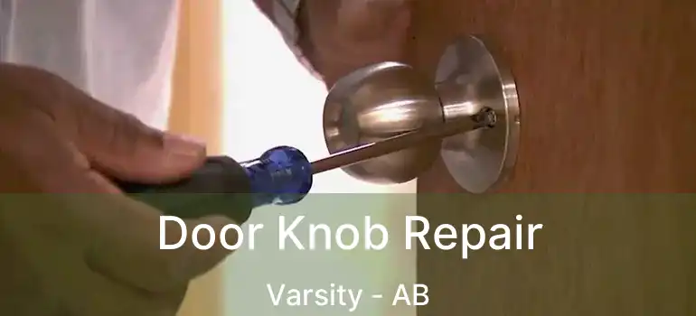  Door Knob Repair Varsity - AB