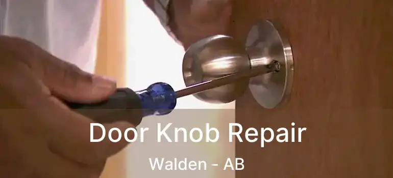  Door Knob Repair Walden - AB
