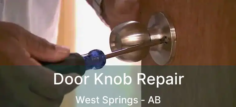  Door Knob Repair West Springs - AB
