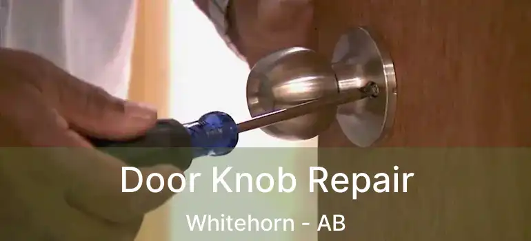  Door Knob Repair Whitehorn - AB