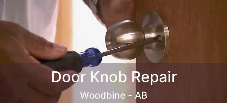  Door Knob Repair Woodbine - AB