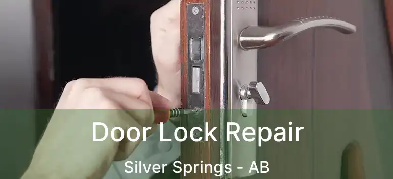 Door Lock Repair Silver Springs - AB