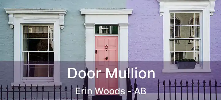  Door Mullion Erin Woods - AB