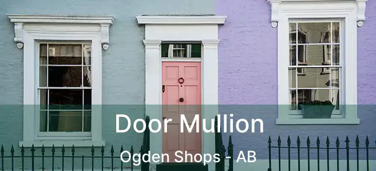  Door Mullion Ogden Shops - AB