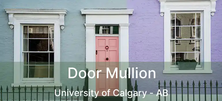  Door Mullion University of Calgary - AB