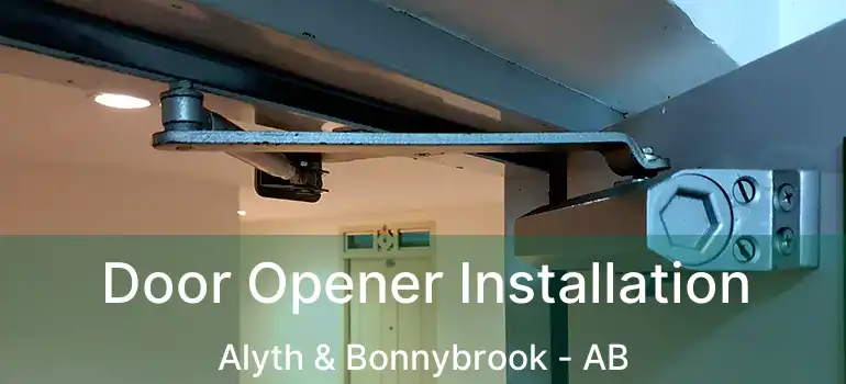  Door Opener Installation Alyth & Bonnybrook - AB