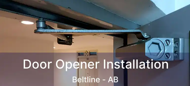  Door Opener Installation Beltline - AB