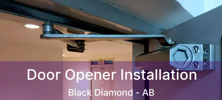  Door Opener Installation Black Diamond - AB