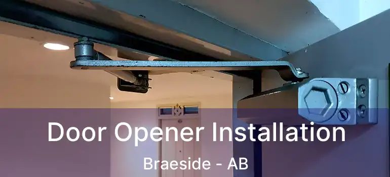  Door Opener Installation Braeside - AB