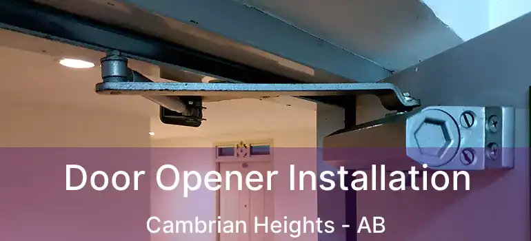 Door Opener Installation Cambrian Heights - AB