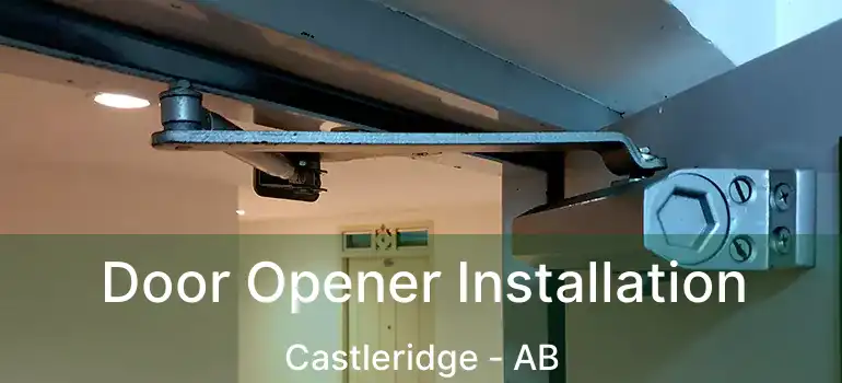  Door Opener Installation Castleridge - AB