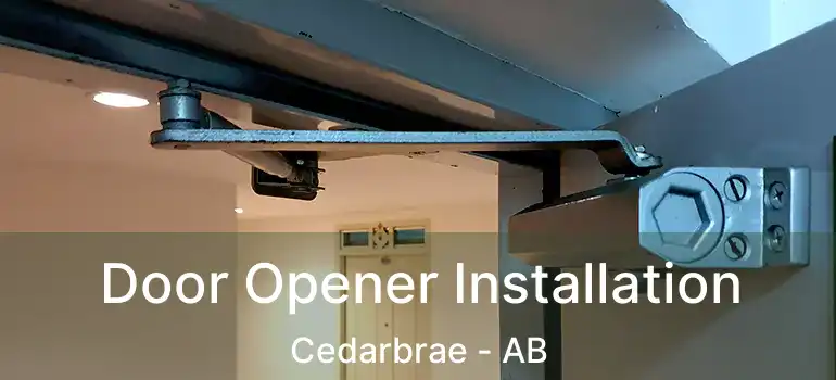  Door Opener Installation Cedarbrae - AB