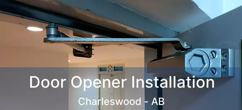 Door Opener Installation Charleswood - AB