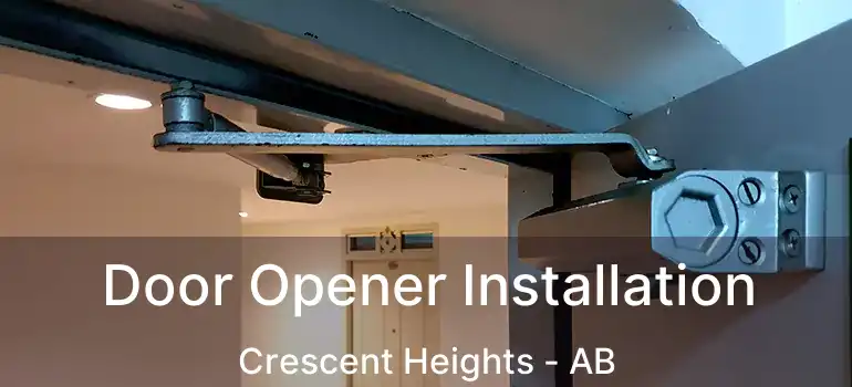  Door Opener Installation Crescent Heights - AB