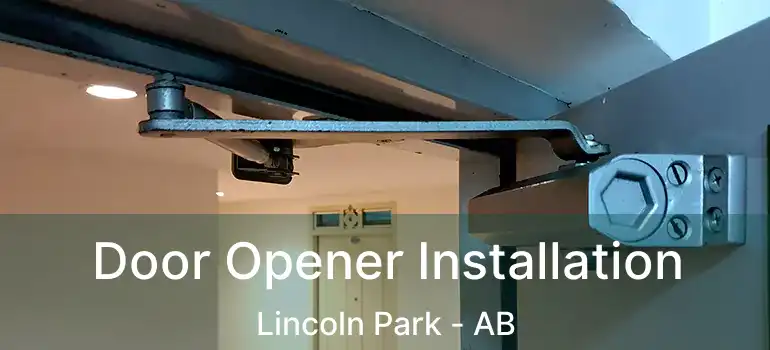  Door Opener Installation Lincoln Park - AB
