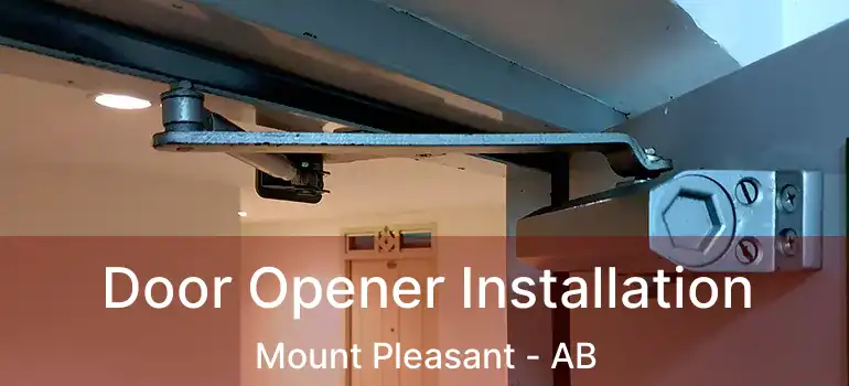  Door Opener Installation Mount Pleasant - AB