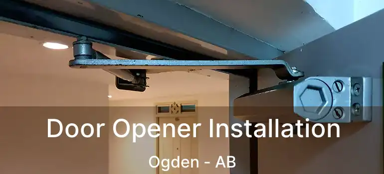  Door Opener Installation Ogden - AB