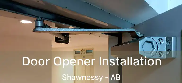  Door Opener Installation Shawnessy - AB