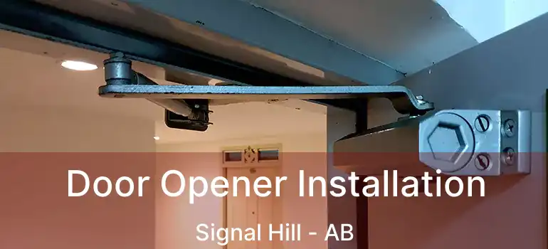  Door Opener Installation Signal Hill - AB