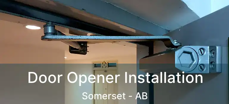  Door Opener Installation Somerset - AB