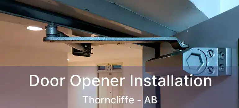  Door Opener Installation Thorncliffe - AB