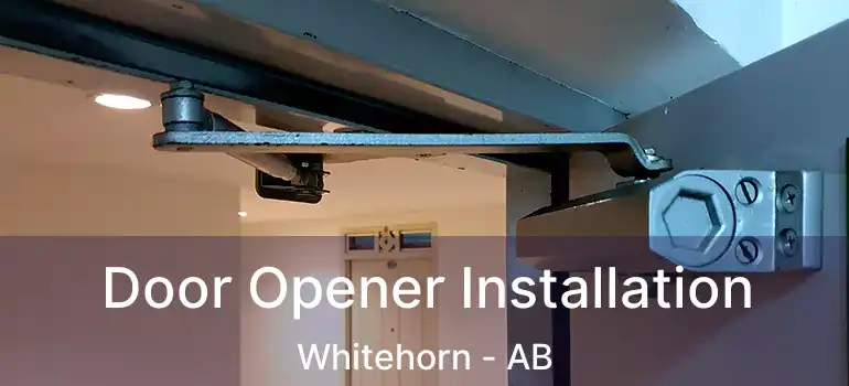  Door Opener Installation Whitehorn - AB