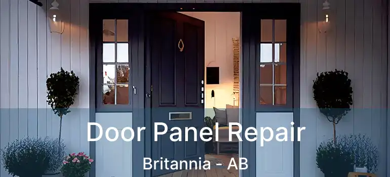  Door Panel Repair Britannia - AB