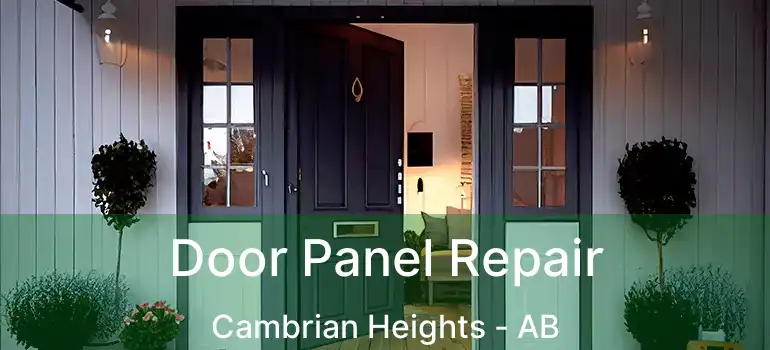  Door Panel Repair Cambrian Heights - AB
