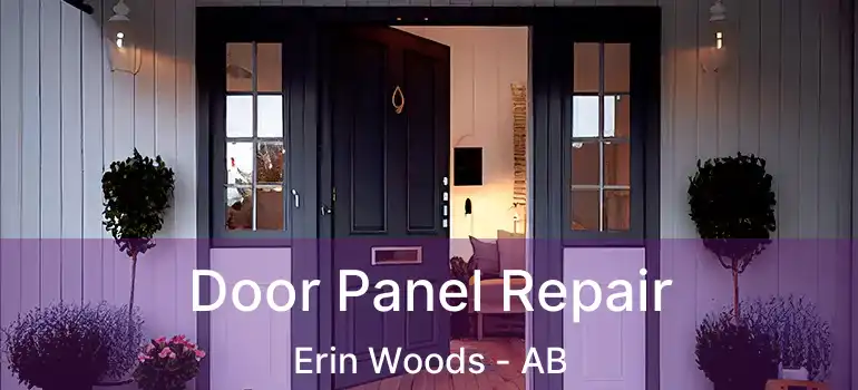  Door Panel Repair Erin Woods - AB