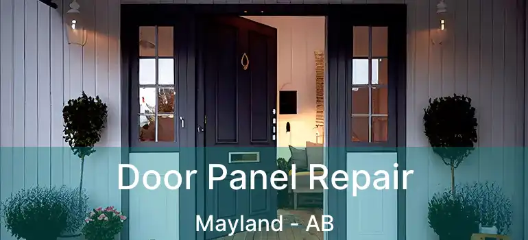  Door Panel Repair Mayland - AB