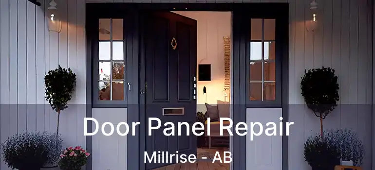  Door Panel Repair Millrise - AB