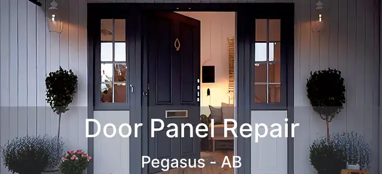  Door Panel Repair Pegasus - AB