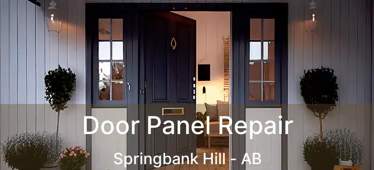  Door Panel Repair Springbank Hill - AB