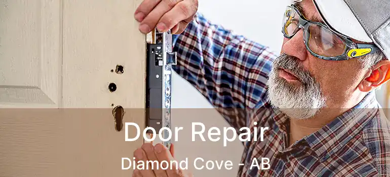  Door Repair Diamond Cove - AB