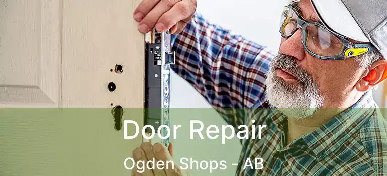  Door Repair Ogden Shops - AB