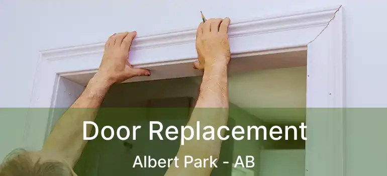  Door Replacement Albert Park - AB