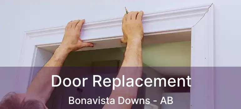  Door Replacement Bonavista Downs - AB