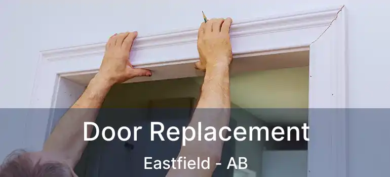  Door Replacement Eastfield - AB