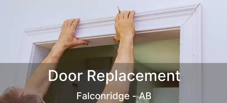  Door Replacement Falconridge - AB