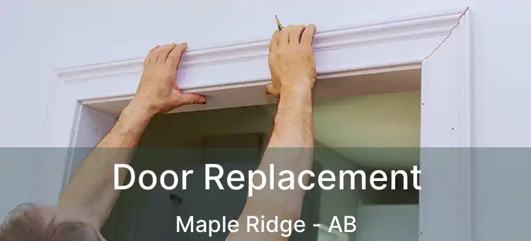  Door Replacement Maple Ridge - AB