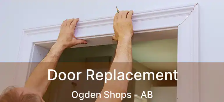  Door Replacement Ogden Shops - AB